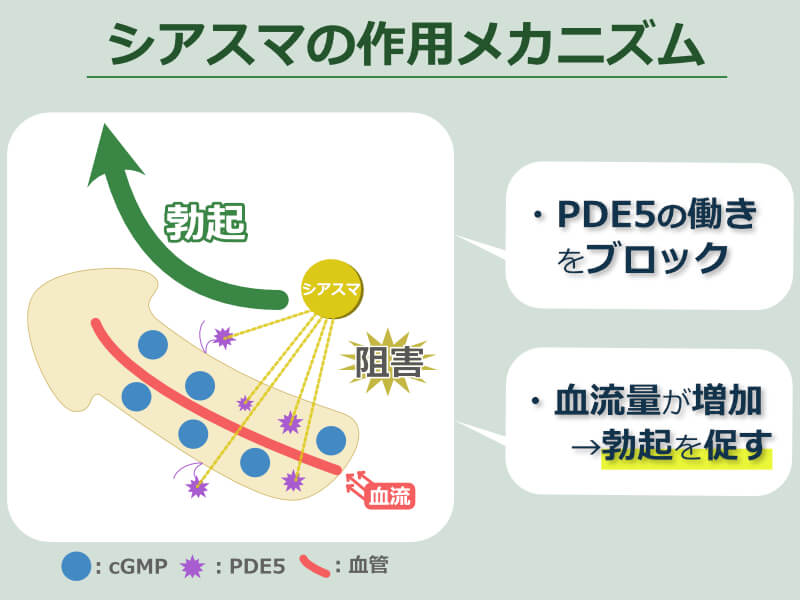 シアスマ 作用メカニズム