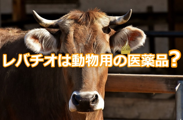レバチオは動物用の医薬品？