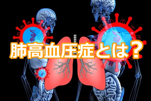 肺高血圧症とは