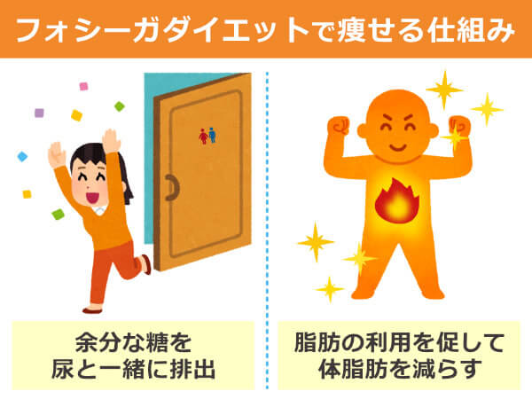 フォシーガダイエットとは？痩せる仕組みや効果を高める方法について解説