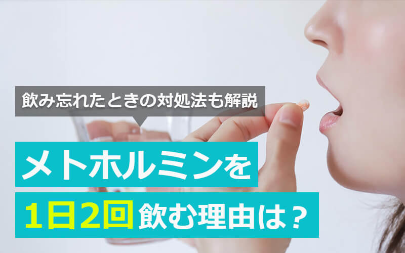 メトホルミンを1日2回飲む理由は？